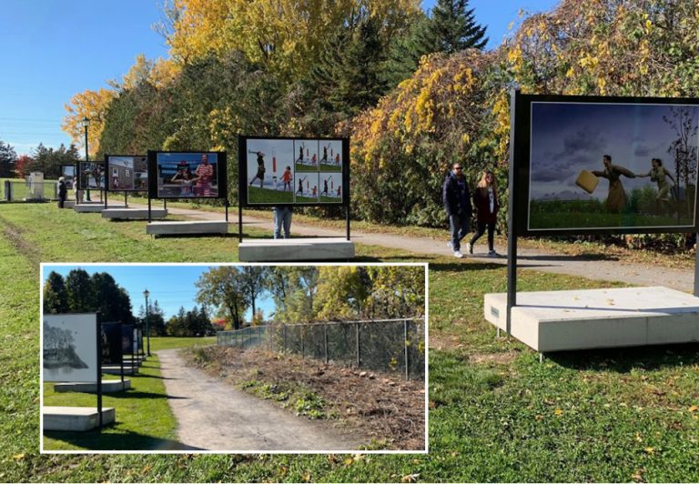 A Park Stripped of 240 Cedars in Laval-des-Rapides