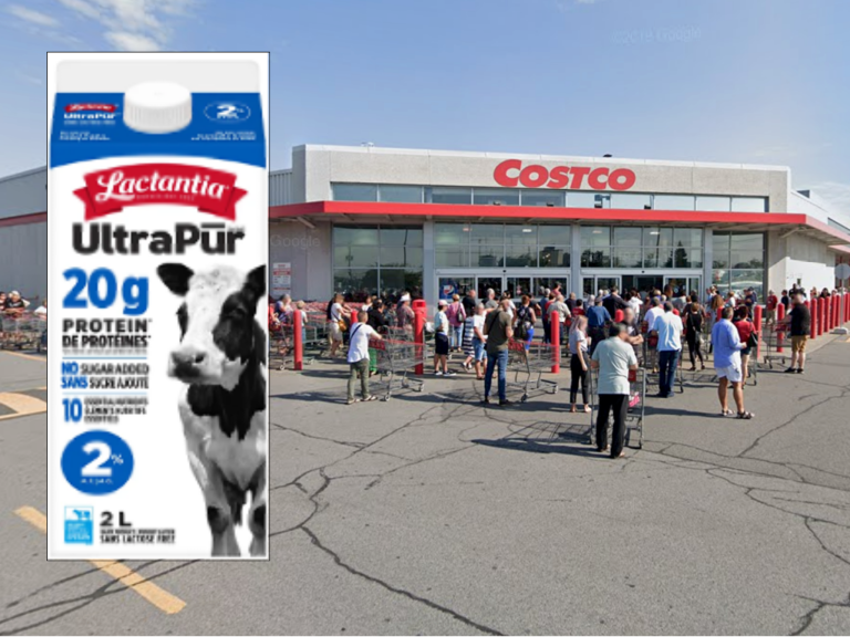 Lactantia Milk Recall for Product Sold at Costco